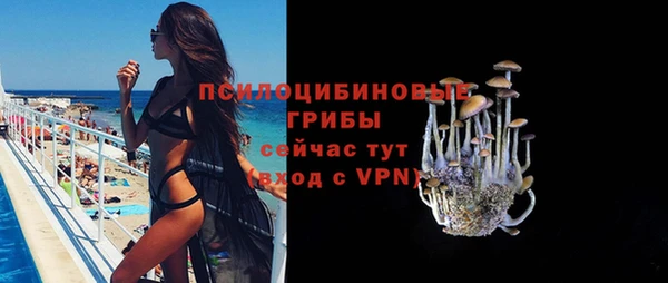 а пвп мука Навашино