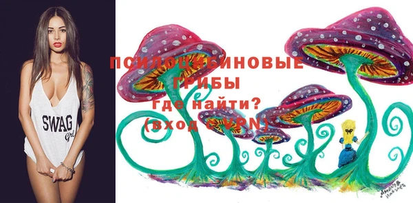 не бодяженный Магадан