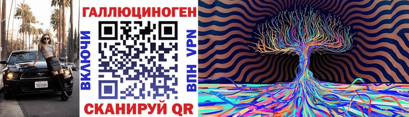 Галлюциногенные грибы Psilocybine cubensis Оханск